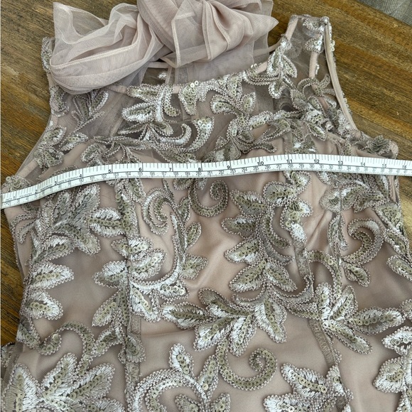 Alex Evenings Champagne Embroidered Tulle Gown - Picture 10 of 10